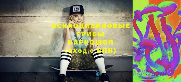 дмт Протвино