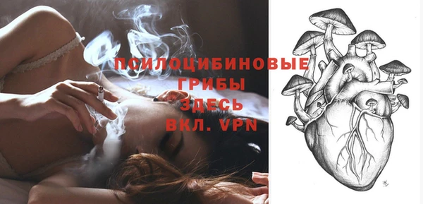 прущий лед Рославль